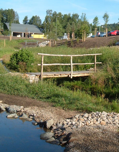 Revitalizace biotopu